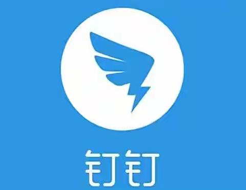 新农小学钉钉使用培训