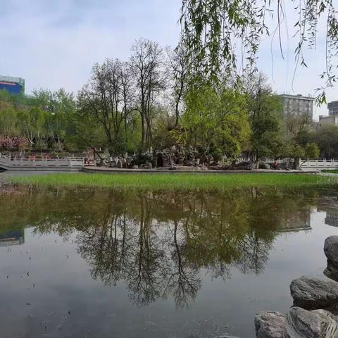 4月第一周夜间巡查情况汇总