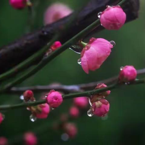 3月第一周夜间巡查情况汇总