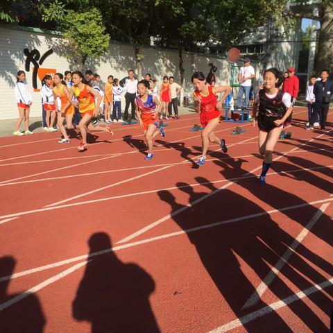 莲下镇举办2019年小学生田径运动会