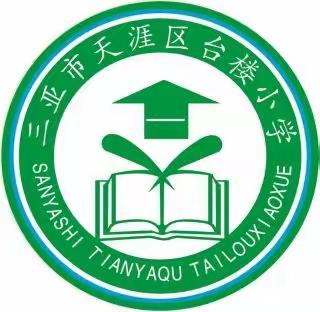 天涯区台楼小学  “搬家式”大扫除 共创美好校园