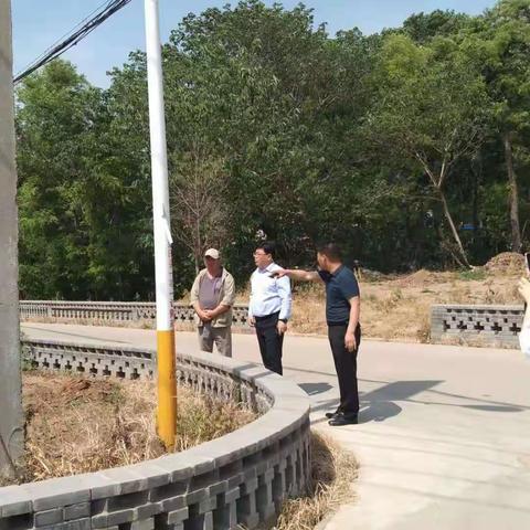 乡村振兴惠万家，郗家街村在行动