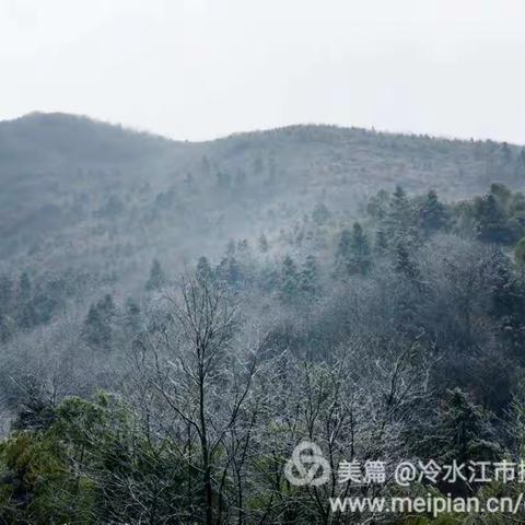 重上金龙山