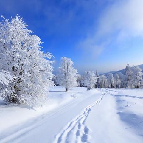 朗诵：雪/鲁迅