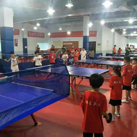 群星乒乓球培训学校暑假班开课啦😄