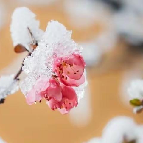 2019-2020对联习作