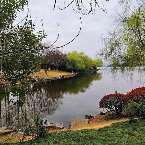 【寻找春天】系列3～春游黄州遗爱湖