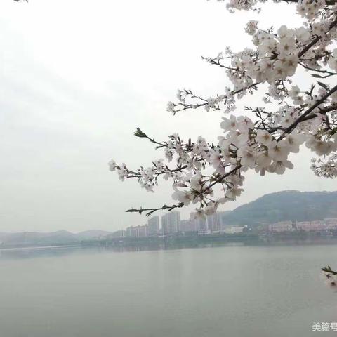 雨恨云愁昨年事梅红柳翠此时天