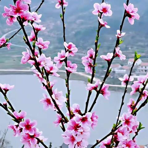 诗心久向远方约