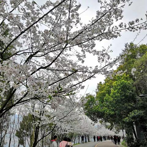 鄂高87（2）班同学群对对子