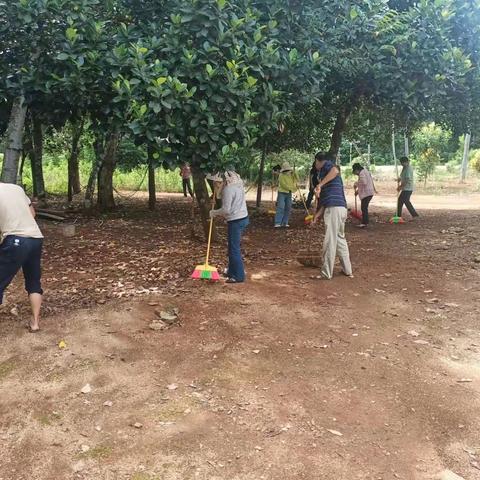 新马工作开展人居环境卫生整治活动