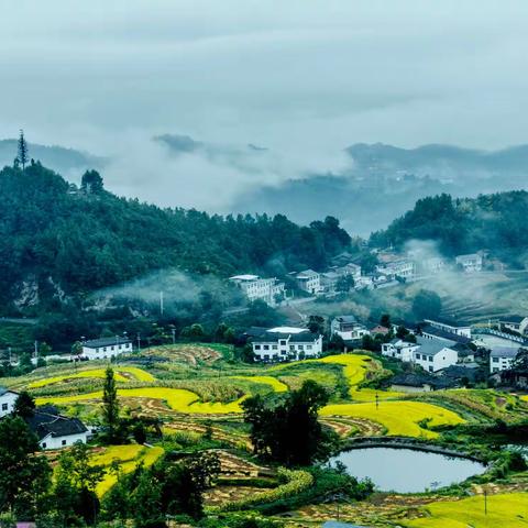 阡陌纵横古梯田