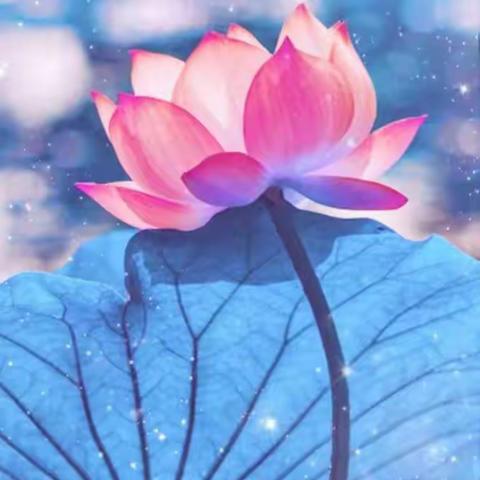 2018，愿花朵们绽放盛开，妩媚多姿