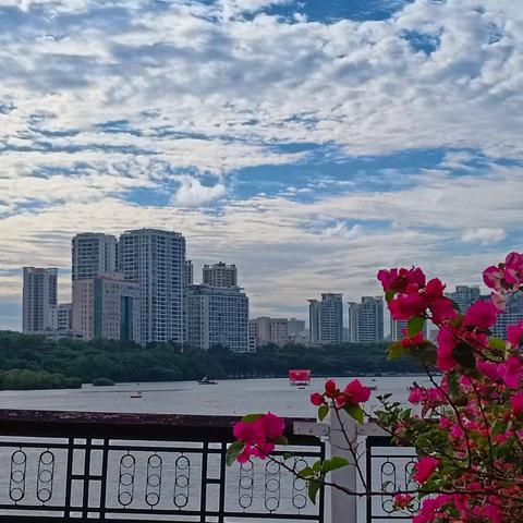 龙舟赛