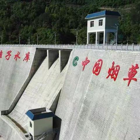 到天桥镇调度响滩子水库建设工作