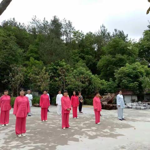 2018年5月5日，太极协会组织拳友走出家们亲近大自然，相互交流切磋拳技，承蒙各位拳友的大力支持，活动圆满成功