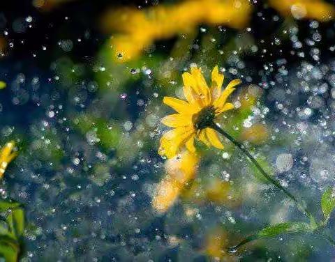 窗外看雨