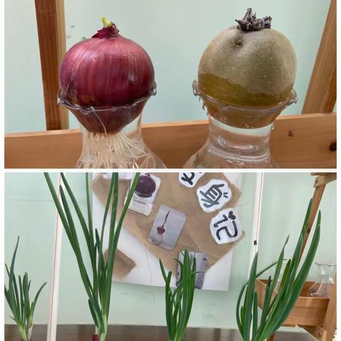 小四班一周精彩回顾