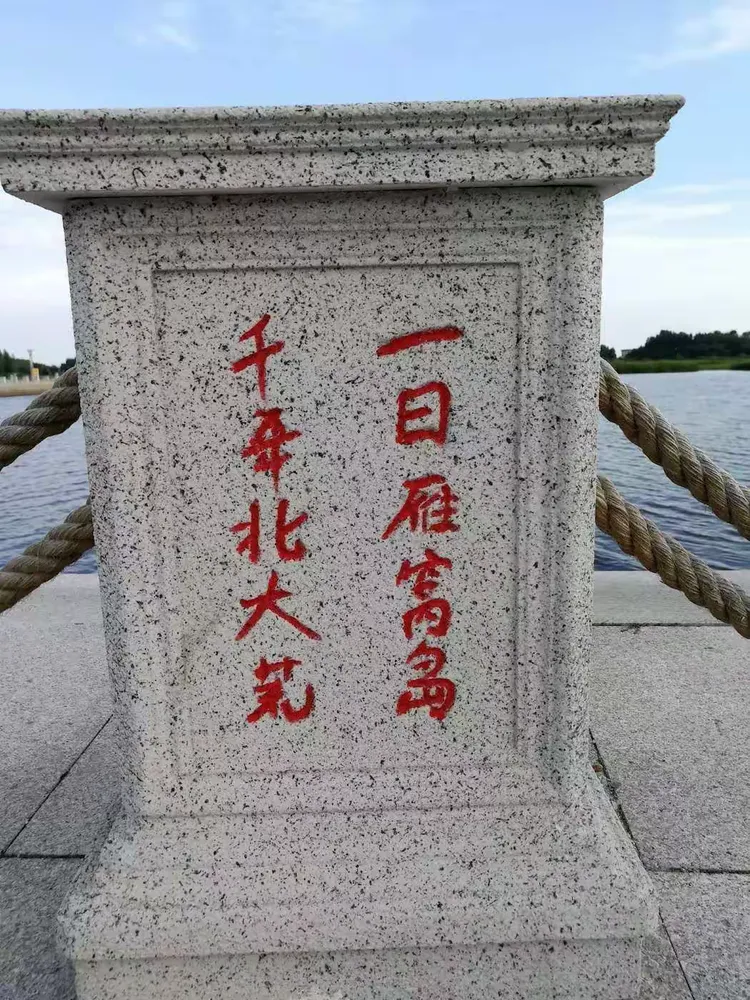 为什么导游干不长久