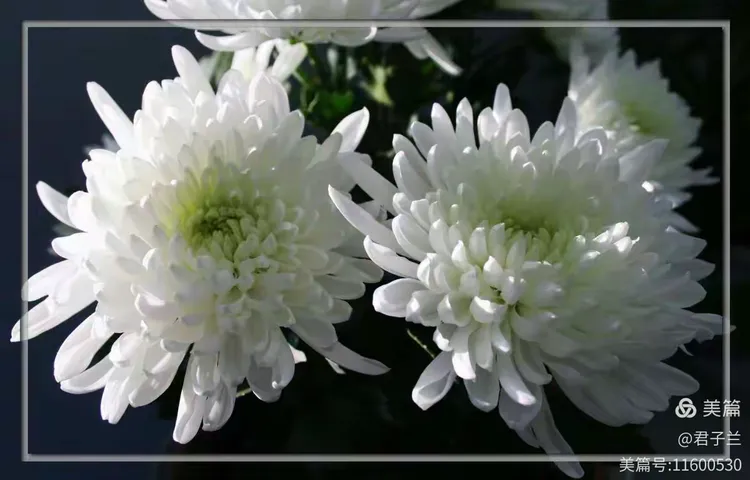 灵魂超度选择什么时候-什么叫超度怎样超度亡灵