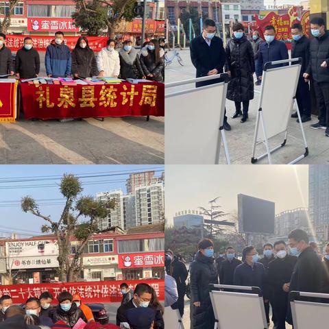 礼泉县统计局开展统计法治宣传活动