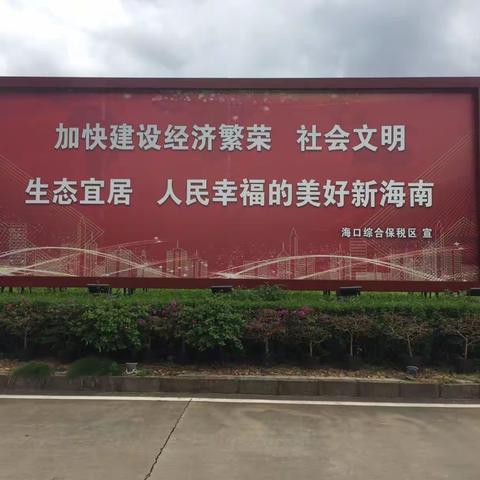 海口综保区开展环境整治专项行动