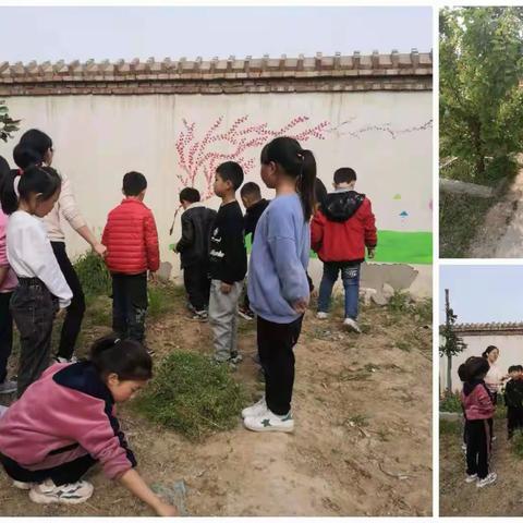 我和春天有个约会