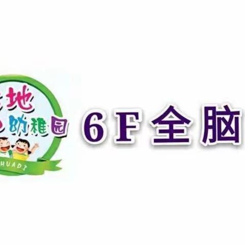 花地6F全脑班