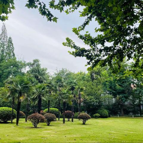 闻道清风起，欣然意恰好       ——启东市“南通市级学科带头人”、教师发展中心研训员扬州大学第二天培训侧记