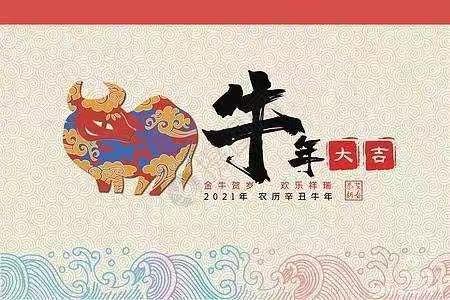 新年到   祝福到——平度市初中物理学科向大家拜年了！