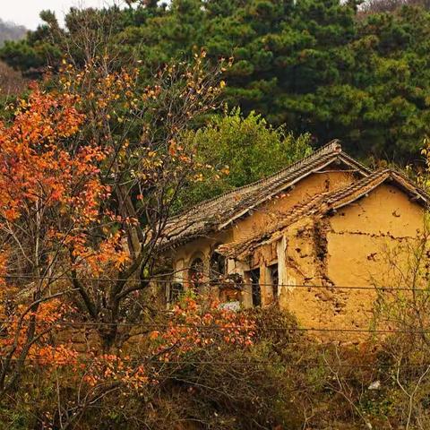 太行峡谷小山村