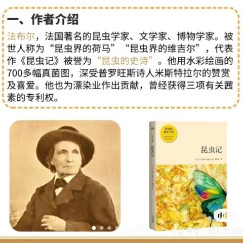 小昆虫.大世界 探索微观世界的奇妙之旅