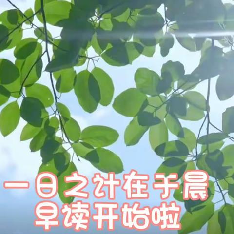 幼小🌱衔接～走近小学🏫 入学向往♥️初萌芽