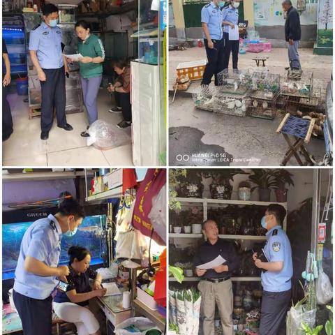 【生态警务】森警大队走访检查马山路花鸟市场