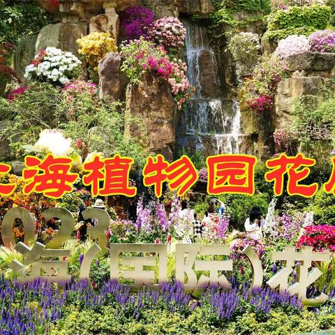 上海植物园2023（国际）花展