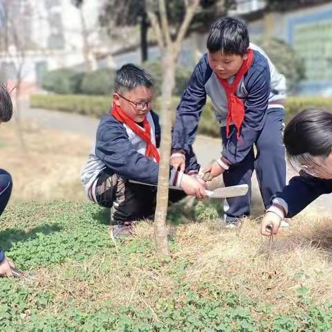 邳城镇中心小学“青青绿树 伴我成长”植树节主题实践活动