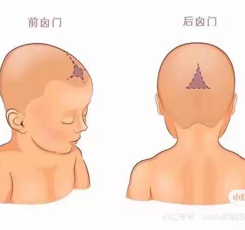 幼儿颅骨的保育方法