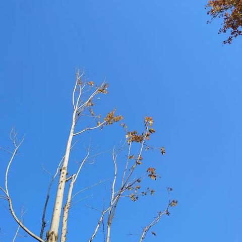 平凡岁月的惊喜