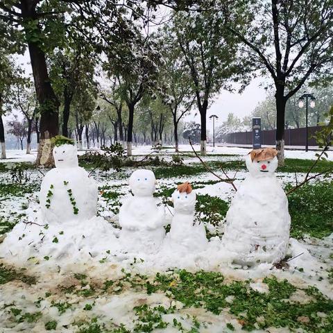 2023年的第一场雪