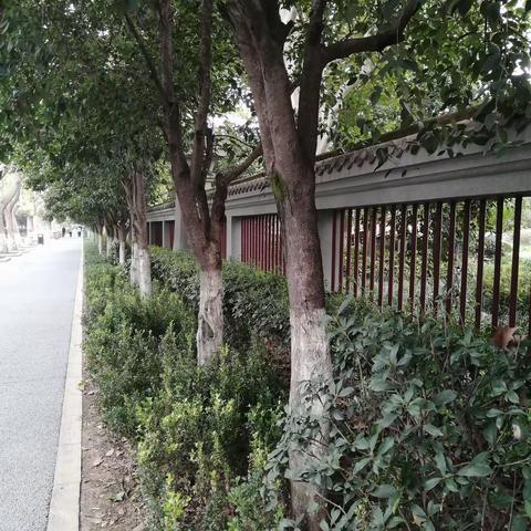 寒露，是我收获的开始