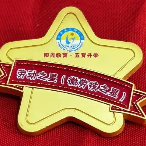 “习语”润童心 “五星”向未来