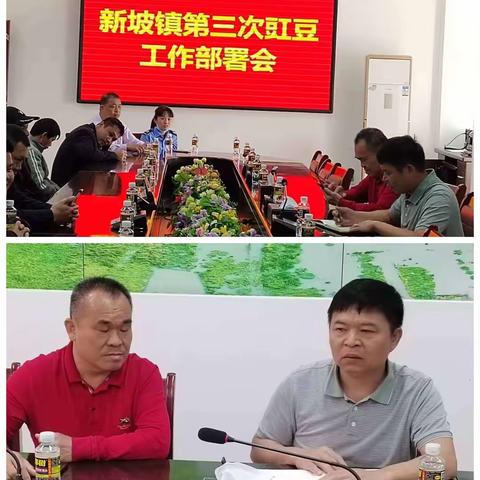 新坡镇第三次豇豆监管工作部暑会