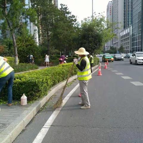 绿化繁忙又一天，修剪、浇水、整改不停歇。