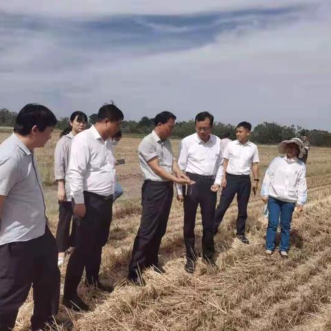 农业农村局6月3日工作动态