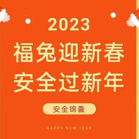 安全锦囊 | 福兔迎新春，安全过新年——请查收这份温馨提示