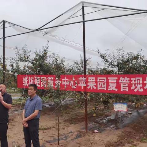 纸坊便民服务苹果夏管促增收
