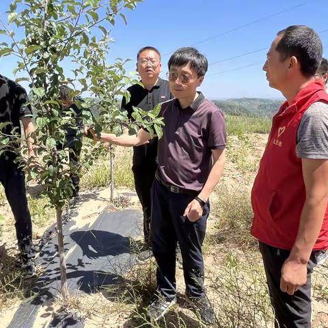 纸坊便民服务中心【观摩学习看果园 取长补短学经验】