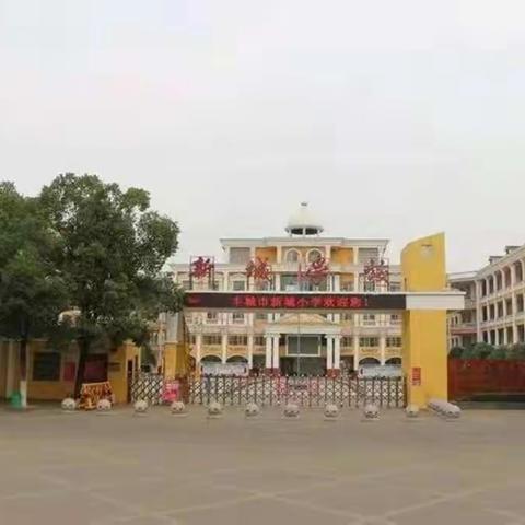 疫散花开，学子归来—丰城市新城小学“复学第一课”掠影