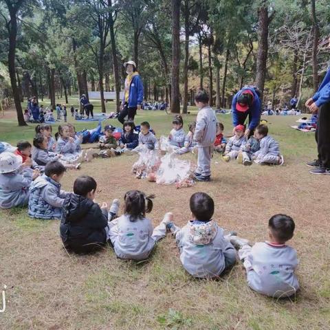 🌻森林日·秋冬物语🌻大自然是天然的教室🍃 没有任何一个学习环境像大自然一样