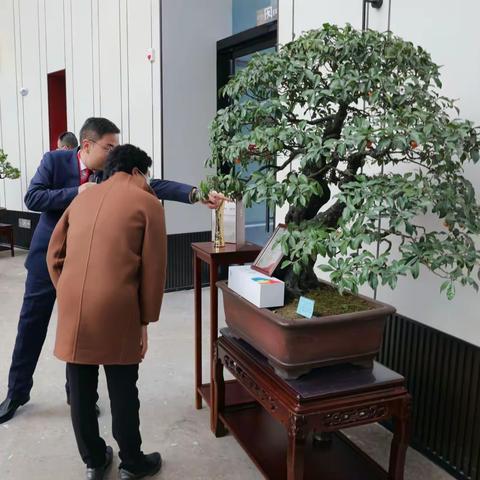 致富好项目，旅游好去处